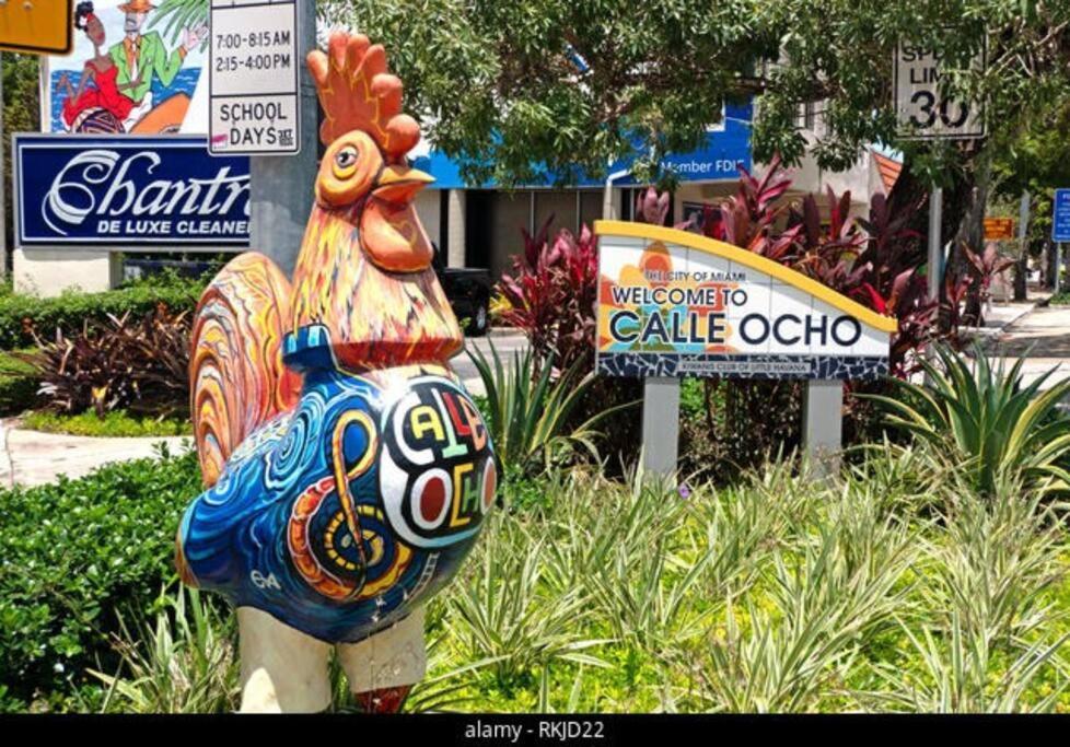Intimate Casita Mia Minutes Away From Airport, Calle 8, Brickell, Coral Gables, The Beach And More! Miami Exterior photo